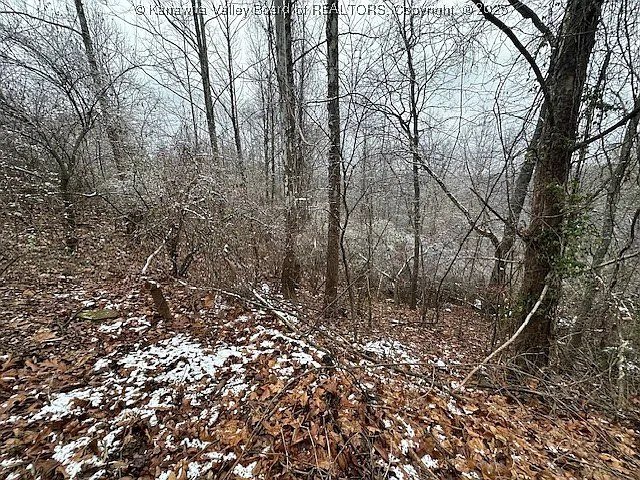 3988 Pinnacle View Rd, Hurricane, WV 25526
